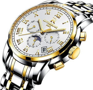 Mens Swiss Automatic Movement Watches,Stainless Steel Waterproof Wrist Watch