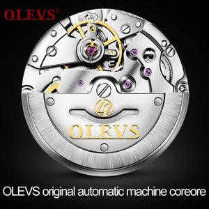OLEVS Automatic Mechanical Watch,Day Date Automatic Watch Men,Self Wind Men's Luminous Waterproof Stainless Steel Watch