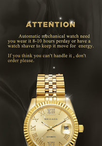 BRIGADA Swiss Watches Luxury Golden Watches for Men, Automatic Hollow Mechanical Men's Watch